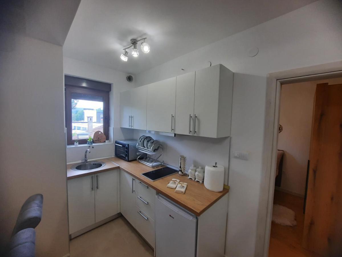 Apartman Koricanac Vrnjačka Banja מראה חיצוני תמונה
